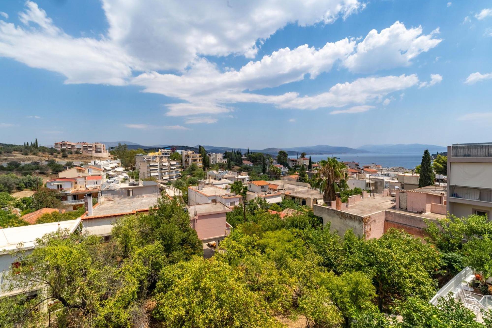 Arancia Elegant And Apartment *